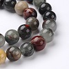 Natural African Bloodstone Beads Strands X-G-L383-06-10mm-3