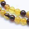 Natural Amber Beads Strands G-P336-16-6mm-3