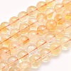 Natural Citrine Beads Strands G-O166-10-10mm-1