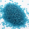 8/0 Glass Seed Beads X-SEED-J013-F8-19-2