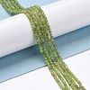 Natural Olive Jade Beads Strands G-D463-13A-4