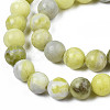 Natural Yellow Mustard Jasper Beads Strands X-G-Q462-8mm-39-3