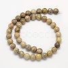 Natural Fossil Coral Round Bead Strands X-G-N0166-05-6mm-4
