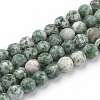 Natural Qinghai Jade Beads Strands G-Q462-97-8mm-1