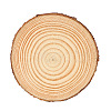 Flat Round Natural Pine Wooden Slices WOCR-PW0001-388B-1