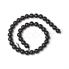 Natural Shungite Beads Strands G-I271-C03-10mm-2