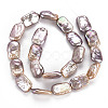 Natural Keshi Pearl Beads Strands PEAR-S020-D04-3