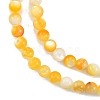 Natural Golden Yellow Shell Beads Strands SSHEL-G024-01A-3