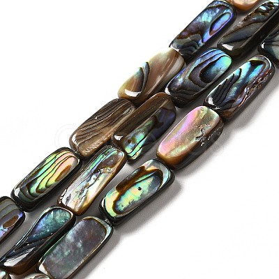 Natural Paua Shell Beads Strands SHEL-G014-09-1