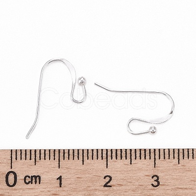 925 Sterling Silver Earring Hooks STER-I014-10S-1