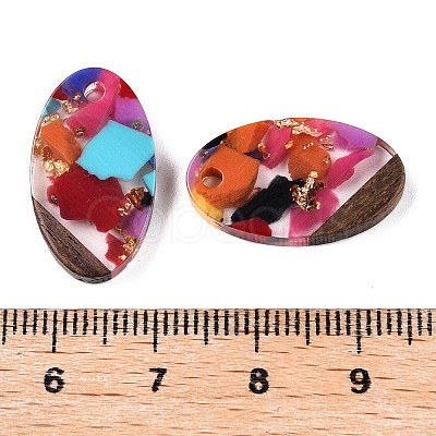 Transparent Resin and Walnut Wood Pendants RESI-T057-03L-1