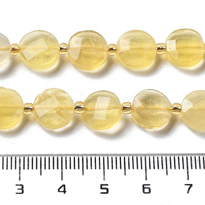 Natural Fluorite Beads Strands G-B094-A30-01-1