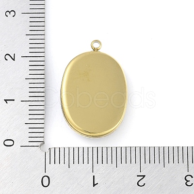 Opaque Resin Elegant Lady Cameo Pendants STAS-P366-45G-1