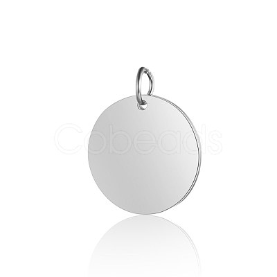 Anti-Tarnish 304 Stainless Steel Pendants STAS-I311-32E-P-1