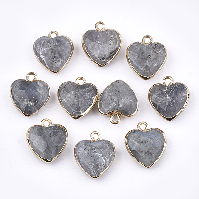 Electroplate Natural Labradorite Pendants G-T112-03A-1