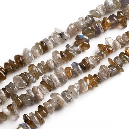 Natural Labradorite Chips Beads Strands G-D0002-A06-1