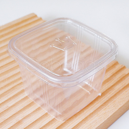 Individual Plastic Cake Boxes BAKE-PW0002-32-1