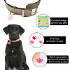 40Pcs 5 Colors Transparent Blank Acrylic Pet Dog ID Tag PALLOY-AB00043-5