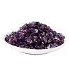 Natural Amethyst Chips Stone PW-WG58121-04-1