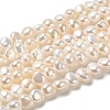 Natural Cultured Freshwater Pearl Beads Strands PEAR-E017-16-1