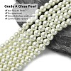 Eco-Friendly Dyed Glass Pearl Round Bead Strands X-HY-A002-8mm-RB011-3