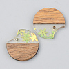 Transparent Resin & Walnut Wood Pendants RESI-S389-038A-D01-2