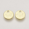 Alloy Charms PALLOY-S121-179-2