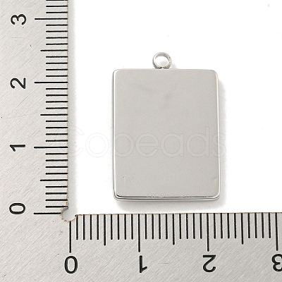 Non-Tarnish 304 Stainless Steel Pendants STAS-L278-93P-1