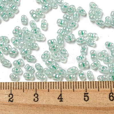 Ceylon Glass Seed Beads SEED-K009-02B-26-1