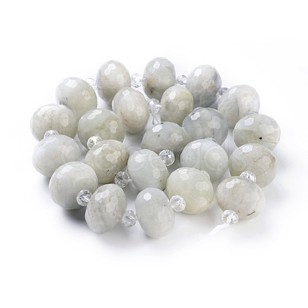Natural Labradorite Beads Strands G-K294-B07-1