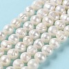 Natural Cultured Freshwater Pearl Beads Strands PEAR-E018-01-2