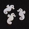 Natural White Shell Mother of Pearl Shell Pendants SSHEL-G014-70-1