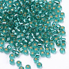 Silver Lined Glass Seed Beads SEED-Q025-1.5mm-C01-2