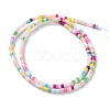 Handmade Czech Lampwork Beads Strands LAMP-L078-008F-2