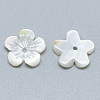 Natural White Shell Beads SSHEL-S260-059B-2