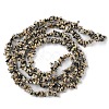 Natural Dalmatian Jasper Beads Strands G-G0003-B29-3