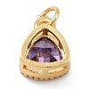 Real 18K Gold Plated Brass Inlaid Cubic Zirconia Charms ZIRC-L100-076G-4