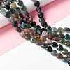 Natural Indian Agate Beads Strands G-B022-04-4