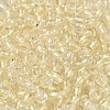 6/0 Transparent Colours Glass Seed Beads SEED-P006-01A-01-3