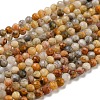 Natural Crazy Agate Beads Strands G-K020-3mm-29-1