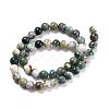 Natural Tree Agate Beads Strands G-I199-03-8mm-3