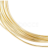 Brass Wire FIND-WH0116-23A-01-1