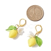 Resin Lemon Leverback Earrings EJEW-JE06163-3