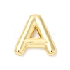 Eco-Friendly Rack Plating Brass Pendants X-KK-R143-21G-A-1