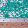 MIYUKI Delica Beads X-SEED-J020-DB0729-4