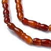 Natural Red Agate Beads Strands G-C135-A01-01-3