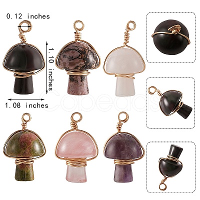 6Pcs 6 Style Natural Mixed Gemstone Pendants G-SZ0001-88-1