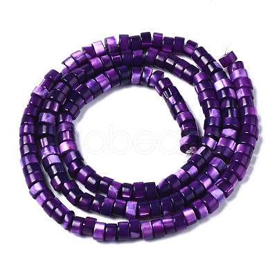 Natural Trochus Shell Beads Strands SHEL-S278-027-1