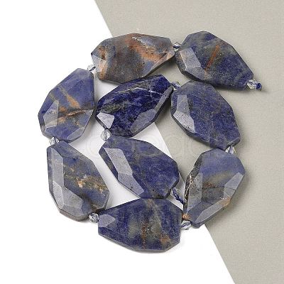 Natural Sodalite Beads Strands G-P548-B24-01-1