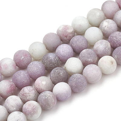 Natural Lepidolite/Purple Mica Stone Beads Strands G-T106-294-1